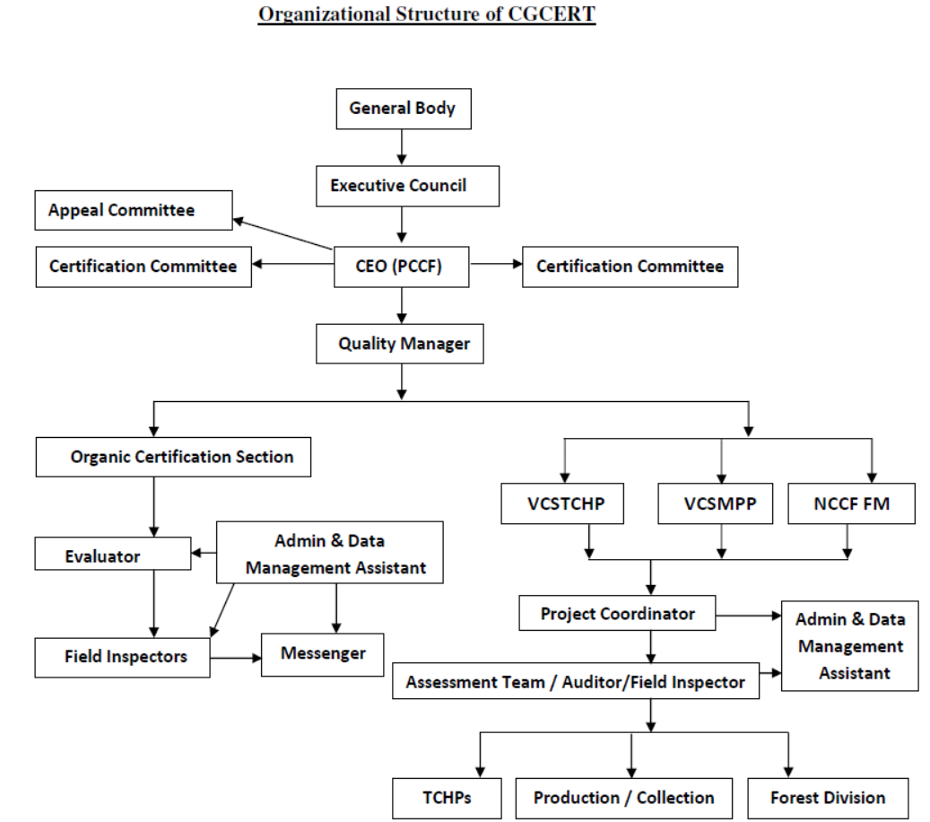 Organisation Structure – CGCERT